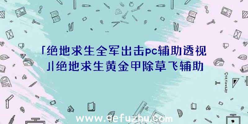 「绝地求生全军出击pc辅助透视」|绝地求生黄金甲除草飞辅助